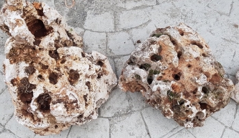 gallery/akvaryum falez taşı,falez taşı fiyat,dekoratif taş,delikli taş,akvaryum taşı